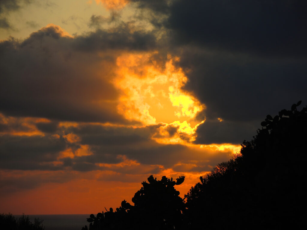 God op de plaats delict: de strafzaak van Jezus van Nazareth God op de plaats delict: de strafzaak van Jezus van Nazareth