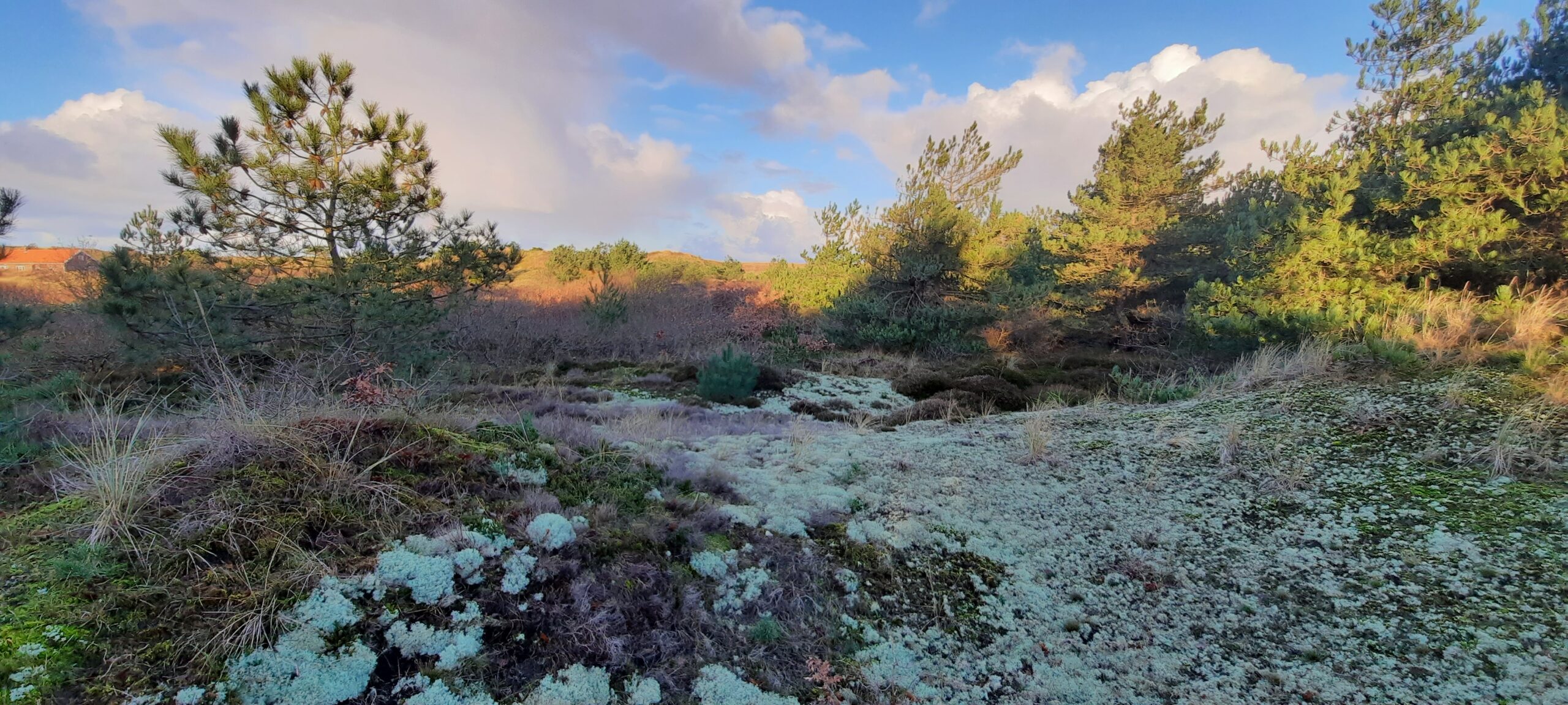 Column: In alles ben jij