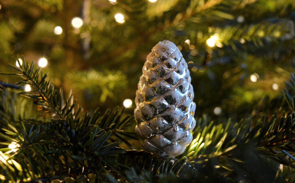 Een half opgetuigde kerstboom