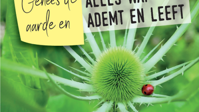 Laudato Si’: Nieuwe inspiratiegids voor kerken