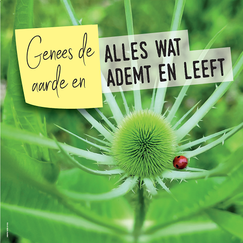 Laudato Si’: Nieuwe inspiratiegids voor kerken Laudato Si’: Nieuwe inspiratiegids voor kerken