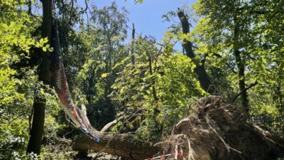 Onze lieve vrouw ter nood verlengt cultureel programma