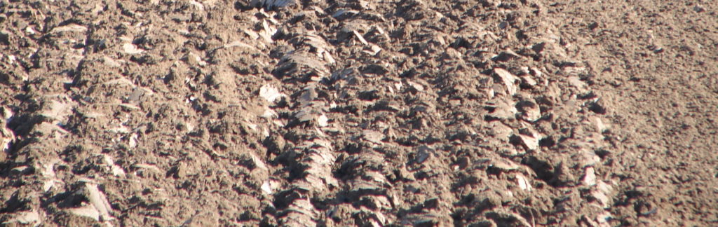 Waarom is er iets en niet niets? Waarom is er iets en niet niets?