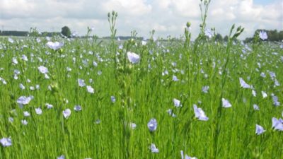 Het einde van een tijdperk: Een necrologie over het Zweverig Nihilisme
