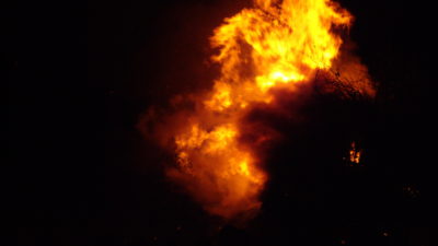 De luciferasten: nooit van weg geweest