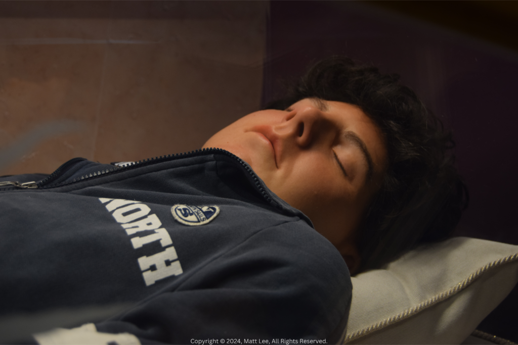 Carlo Acutis: Een jongere die de wereld inspireert Carlo Acutis: Een jongere die de wereld inspireert