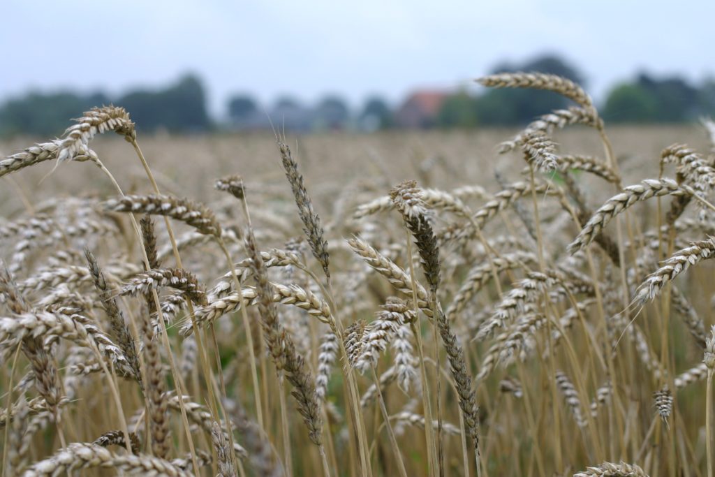 Brief aan de strijdbare student Brief aan de strijdbare student