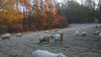 “Principieel stemmen stopt niet bij de gemeentegrens”