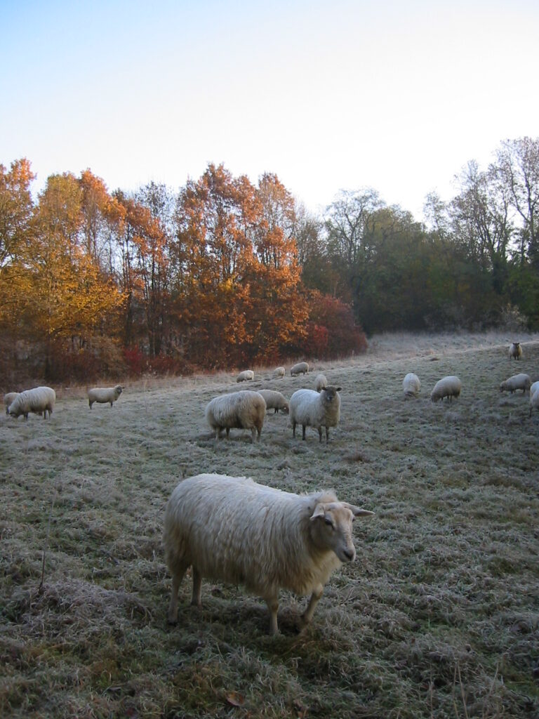“Principieel stemmen stopt niet bij de gemeentegrens”